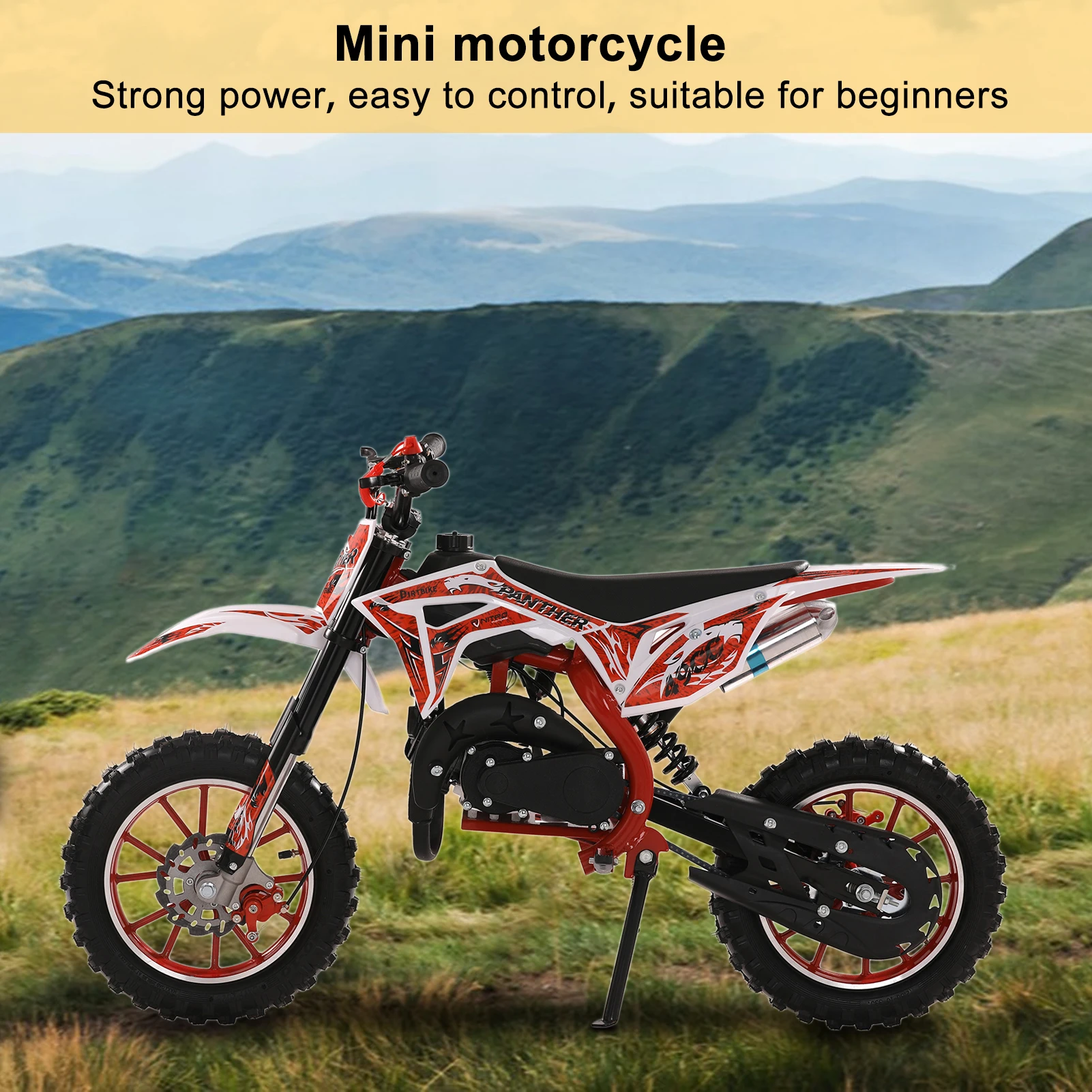 49cc 2-Stroke Kids Dirt Bike, Gas Power Motocross