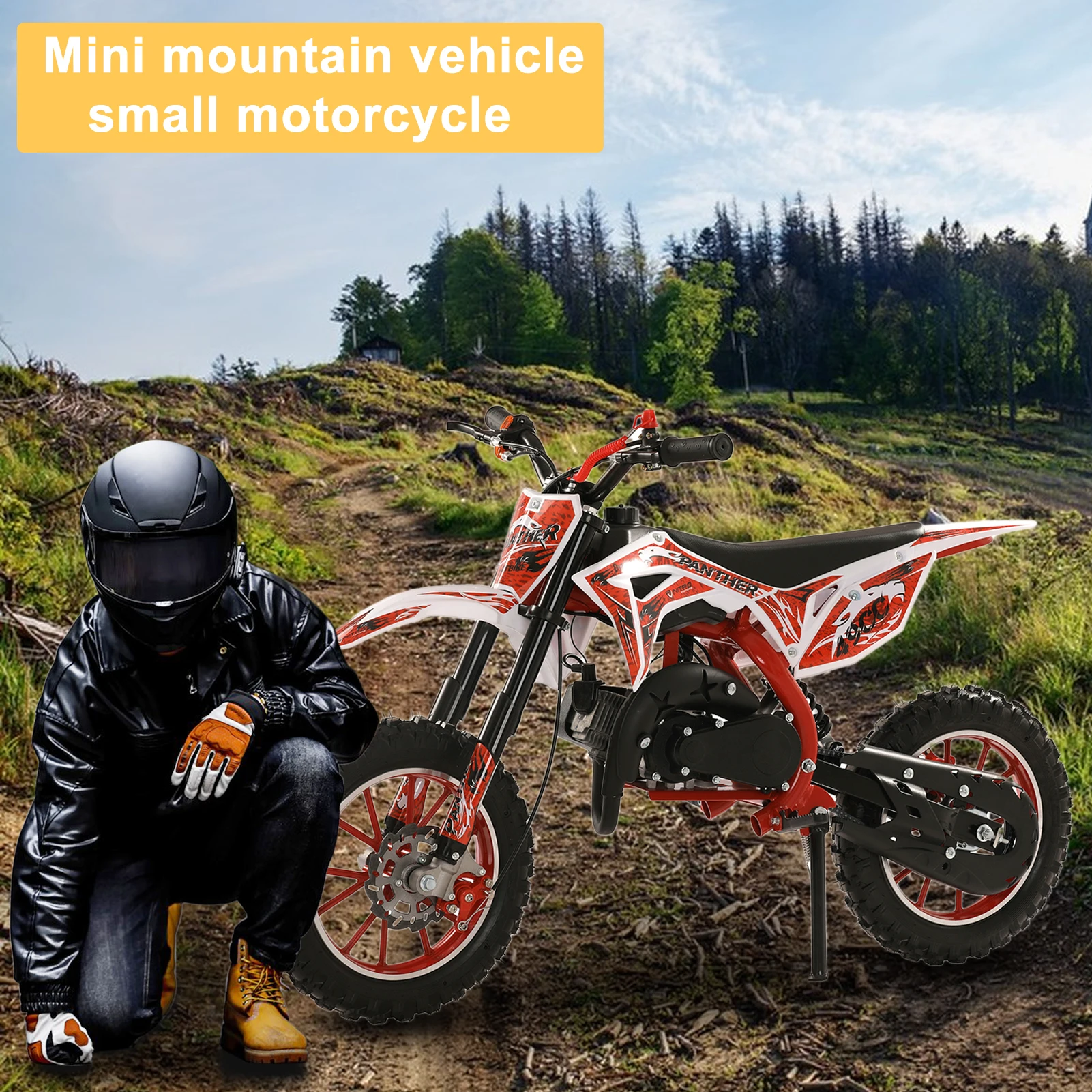 49cc 2-Stroke Kids Dirt Bike, Gas Power Motocross