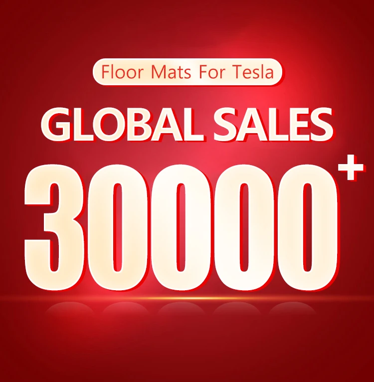 VASTZ Floor Mats for Tesla Model