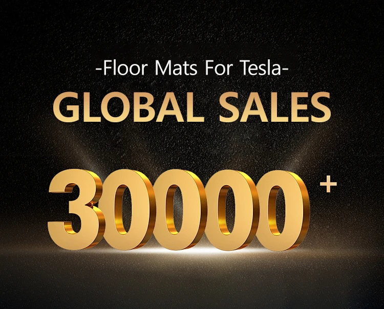 NovaAcc For Tesla Floor Mats Model